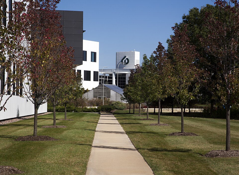 A campus walkway in the fall