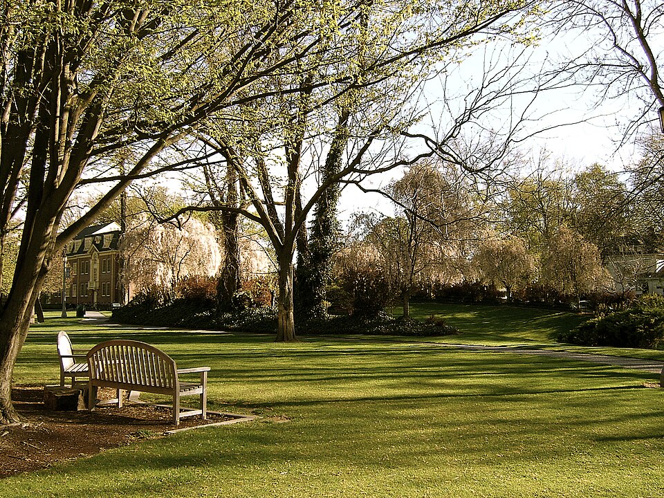 A wide green lawn in front of a campus building
